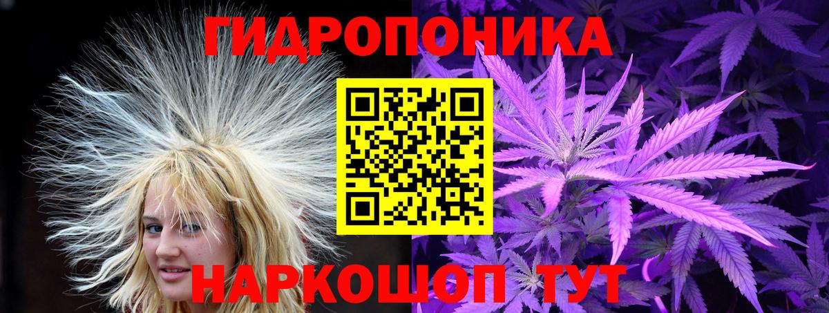 Крымск  Шишки марихуана индика  Вход с VPN  Шишки марихуана THC 21%  Бошки марихуана тримм 